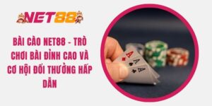 bai-cao-net88