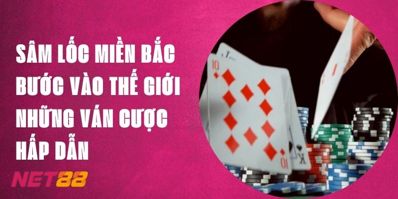 Sâm Lốc Miền Bắc - Bước Vào Những Ván Cược Hấp Dẫn Tại Net88